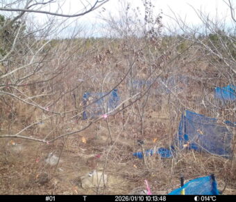 Jan 10 2026 10:13:47, #01