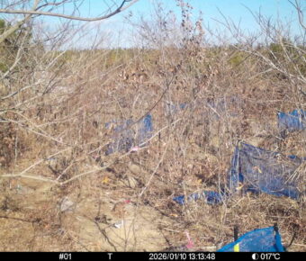 Jan 10 2026 13:13:47, #01