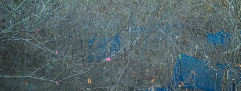 Jan 10 2026 16:13:48, #01