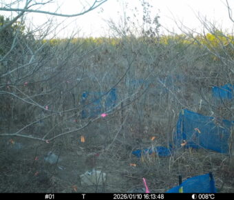 Jan 10 2026 16:13:48, #01