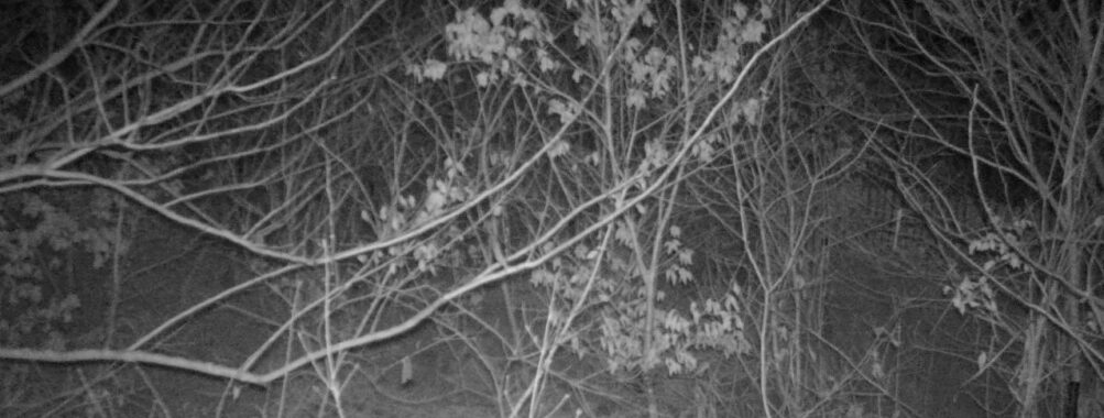 Jan 10 2026 22:13:48, #01