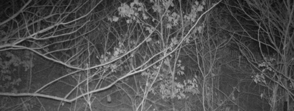 Jan 11 2026  1:13:47, #01