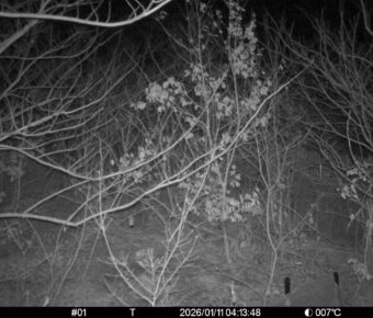 Jan 11 2026  4:13:48, #01