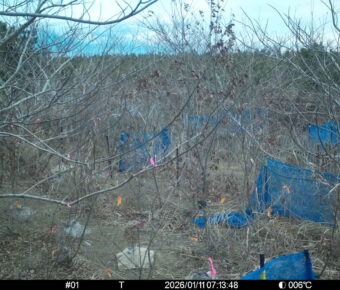 Jan 11 2026  7:13:48, #01