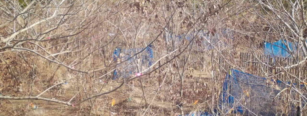 Jan 11 2026 10:13:48, #01