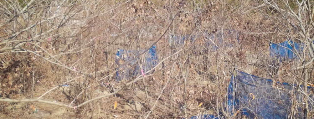 Jan 11 2026 13:13:47, #01