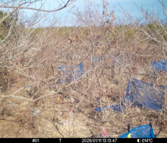 Jan 11 2026 13:13:47, #01