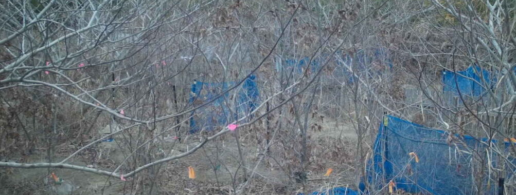 Jan 11 2026 16:13:48, #01