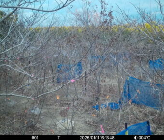 Jan 11 2026 16:13:48, #01