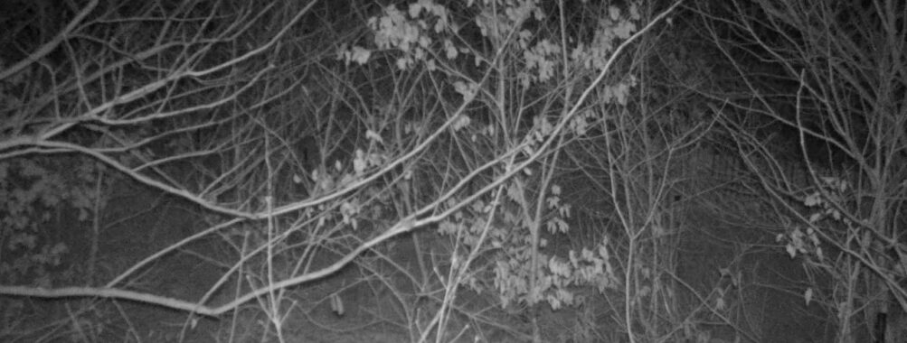 Jan 11 2026 19:13:47, #01