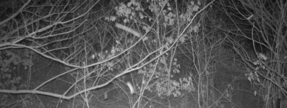 Jan 12 2026  1:13:47, #01