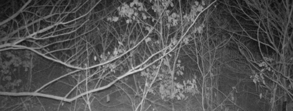 Jan 12 2026  4:13:47, #01