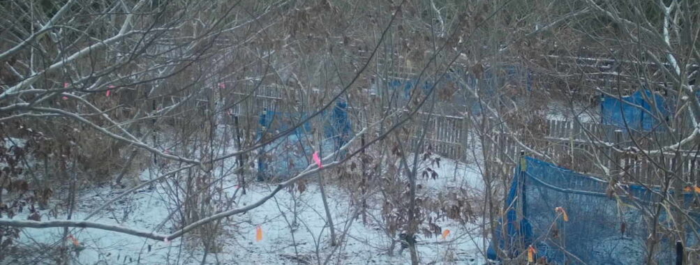 Jan 12 2026  7:13:48, #01