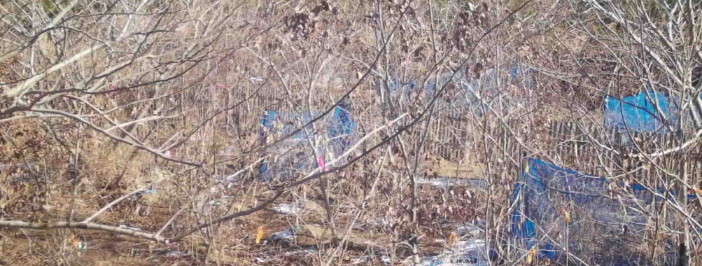 Jan 12 2026 10:13:48, #01