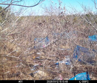 Jan 12 2026 10:13:48, #01