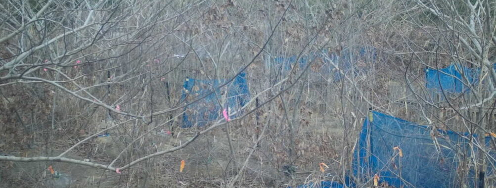 Jan 12 2026 13:13:48, #01