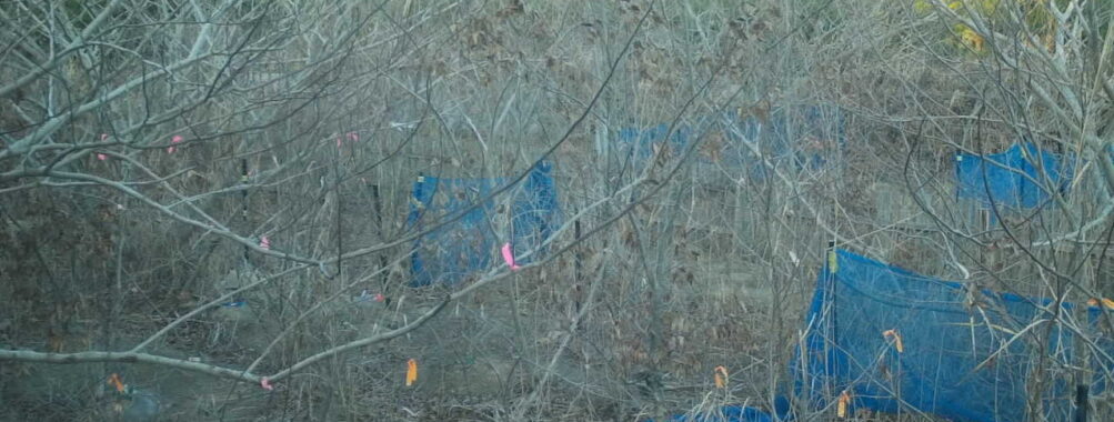 Jan 12 2026 16:13:48, #01