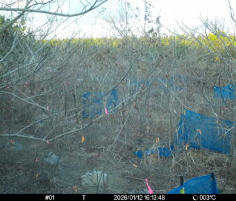 Jan 12 2026 16:13:48, #01