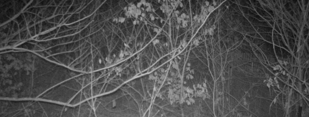 Jan 13 2026  1:13:47, #01