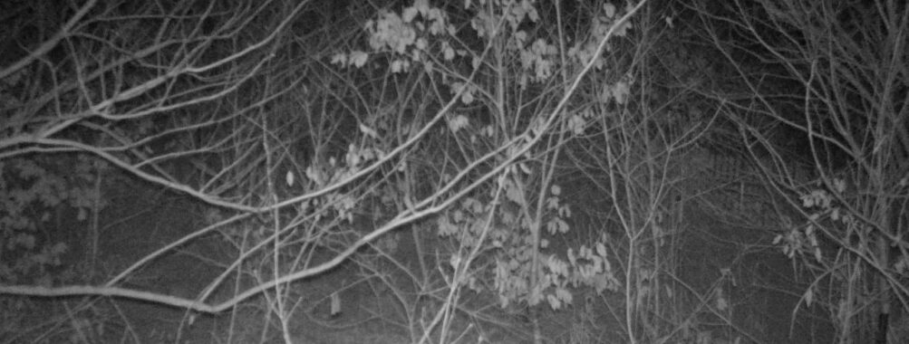 Jan 13 2026  4:13:46, #01