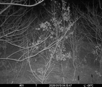 Jan 13 2026  4:13:46, #01