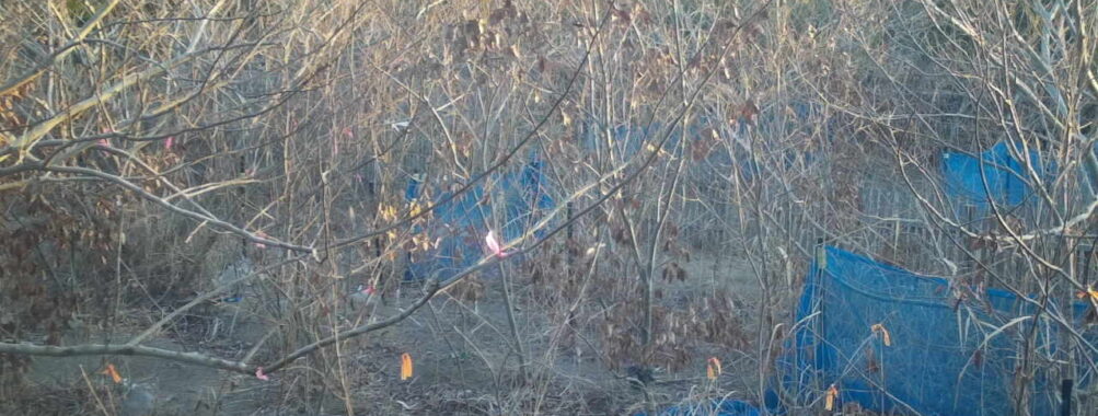 Jan 13 2026  7:13:48, #01