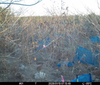 Jan 13 2026  7:13:48, #01