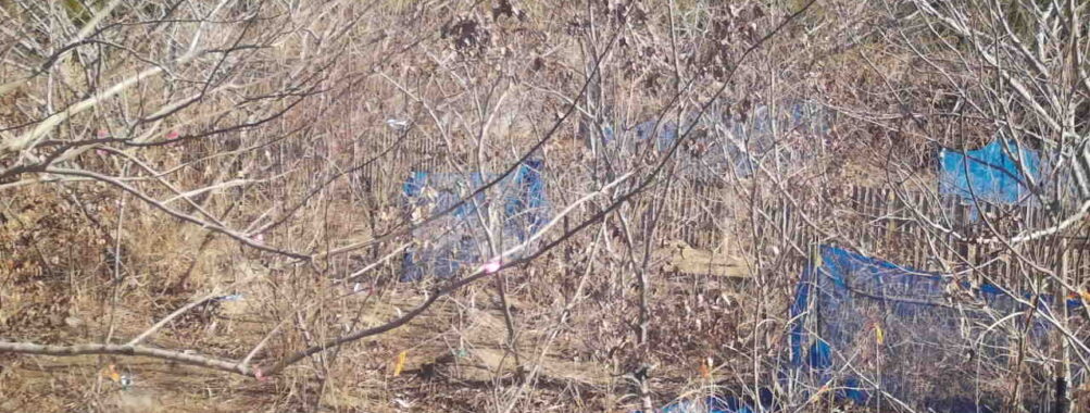 Jan 13 2026 10:13:47, #01