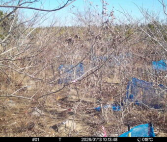 Jan 13 2026 10:13:47, #01