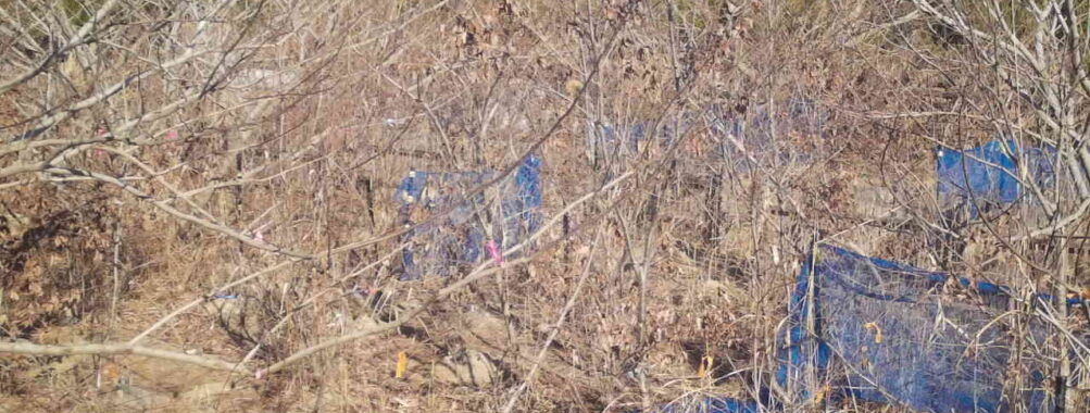 Jan 13 2026 13:13:48, #01