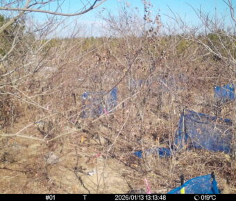 Jan 13 2026 13:13:48, #01