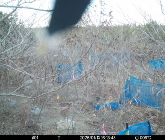 Jan 13 2026 16:13:48, #01