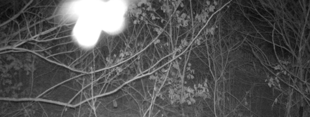 Jan 13 2026 19:13:47, #01