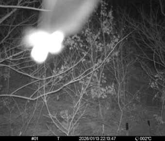 Jan 13 2026 22:13:47, #01