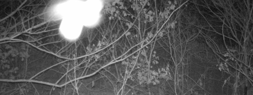 Jan 14 2026  1:13:47, #01