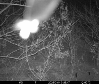 Jan 14 2026  1:13:47, #01