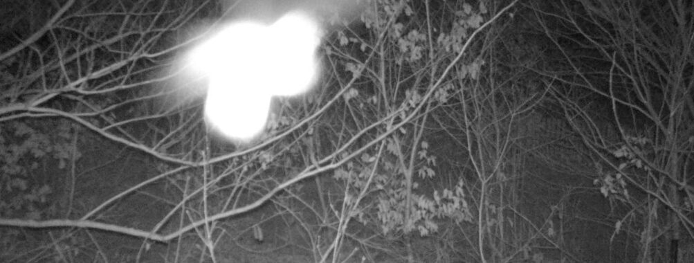 Jan 14 2026  4:13:47, #01