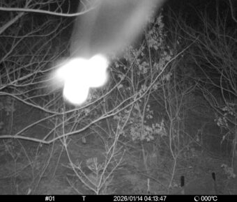 Jan 14 2026  4:13:47, #01