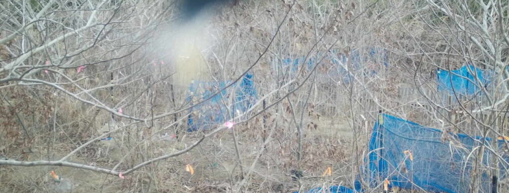 Jan 14 2026 10:13:48, #01