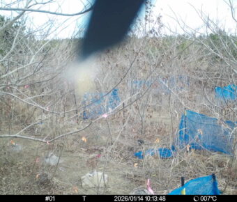 Jan 14 2026 10:13:48, #01