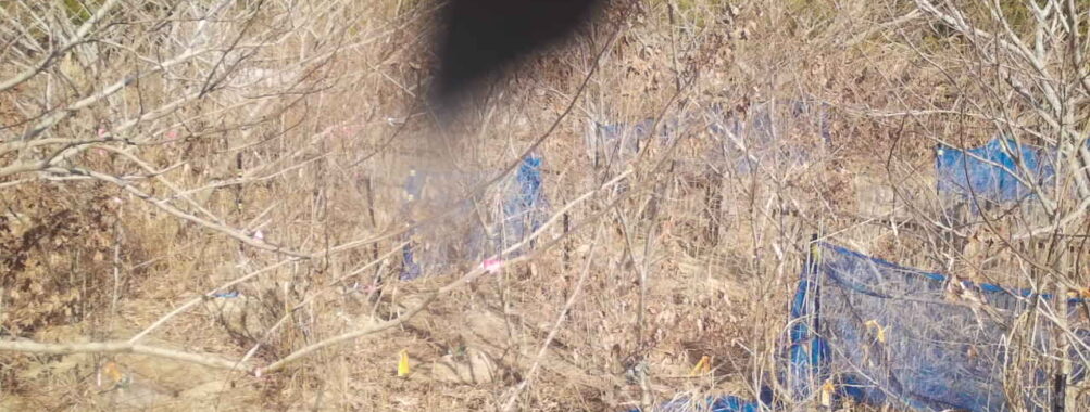 Jan 14 2026 13:13:48, #01