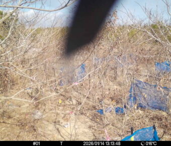 Jan 14 2026 13:13:48, #01