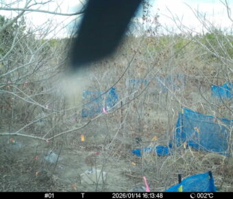 Jan 14 2026 16:13:48, #01