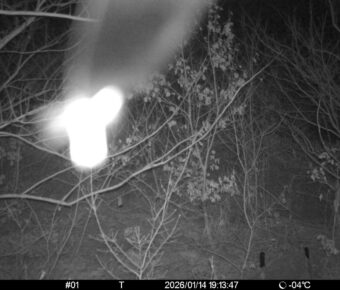 Jan 14 2026 19:13:47, #01