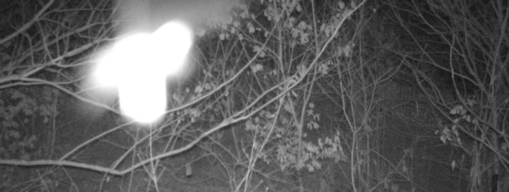 Jan 14 2026 22:13:47, #01