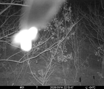 Jan 14 2026 22:13:47, #01