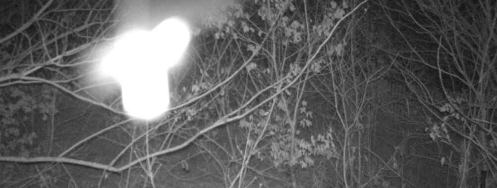 Jan 15 2026  1:13:46, #01