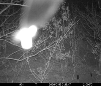 Jan 15 2026  1:13:46, #01