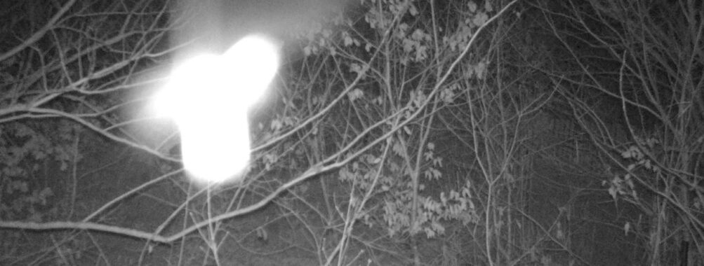 Jan 15 2026  4:13:47, #01