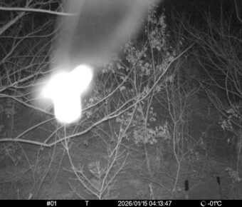 Jan 15 2026  4:13:47, #01